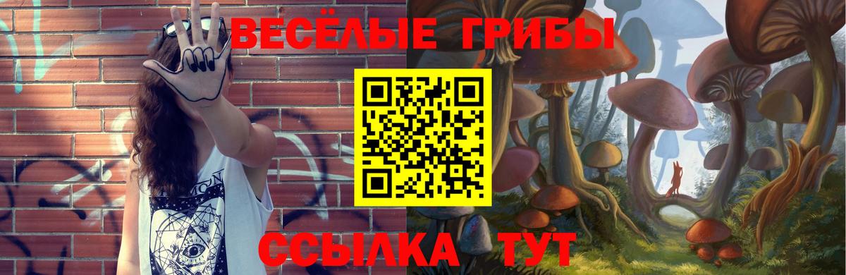 Псилоцибиновые грибы Psilocybe  Вход с VPN  Выкса 